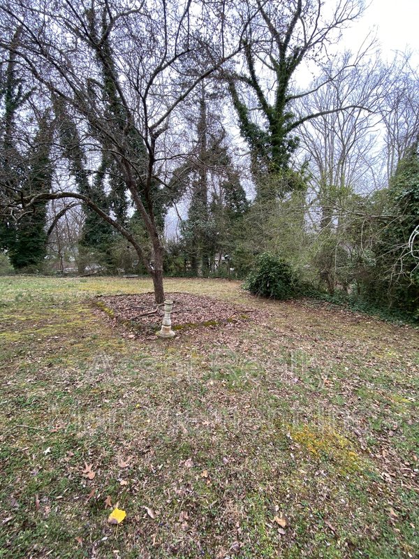 109 Norris Lane property image